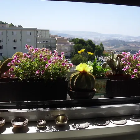 A Casa Di Max